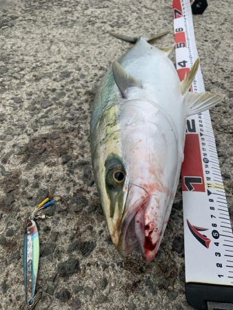 渋いながらも取れました