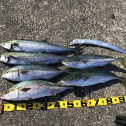 ショアジギ爆釣