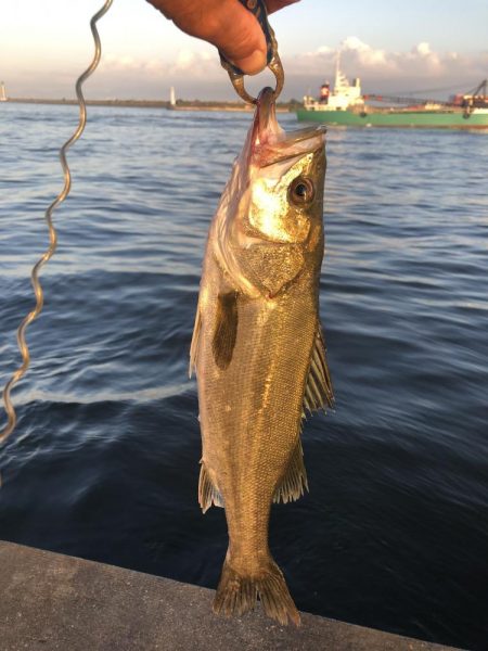 やっと釣れた！