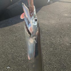 ショアジギング