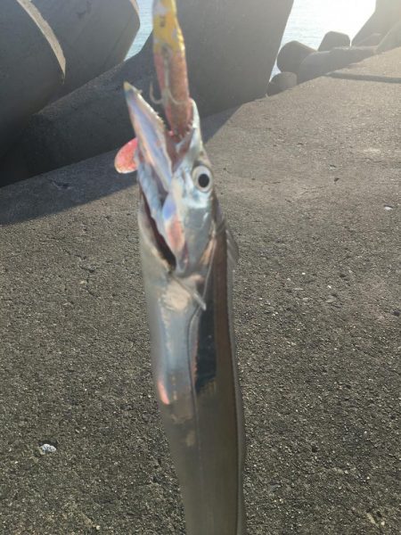 ショアジギング