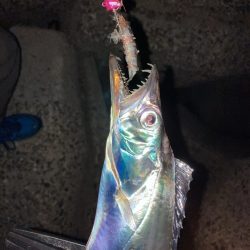 タチウオテンヤ2時間