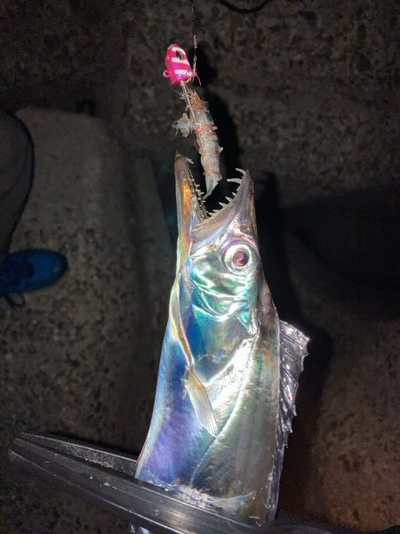 タチウオテンヤ2時間