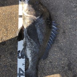 イチノ兄弟、釣果！