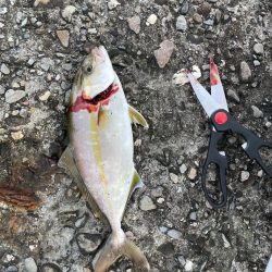 メッキ狙いが…