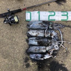 2021 佐渡ヶ島エギング 20回目