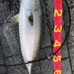 風の強い南港での釣り