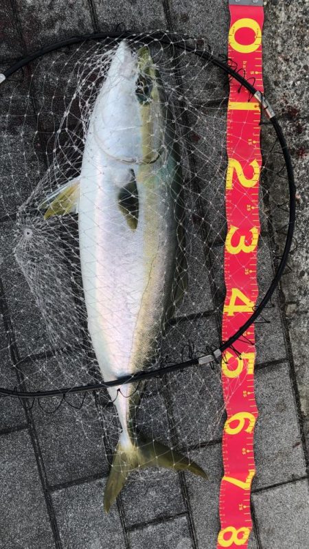 風の強い南港での釣り