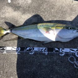 朝マズメはあきませんでした。