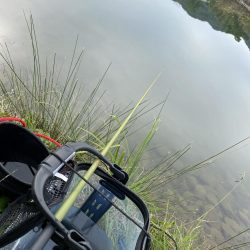 久しぶりの川魚釣り