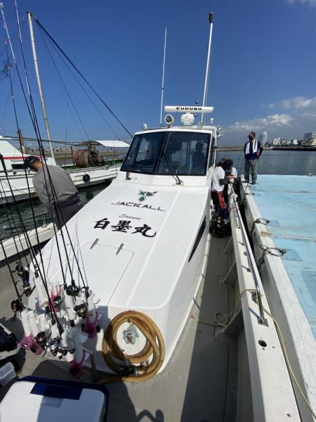 カワハギ&アオリイカ