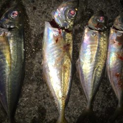 リベンジアジング