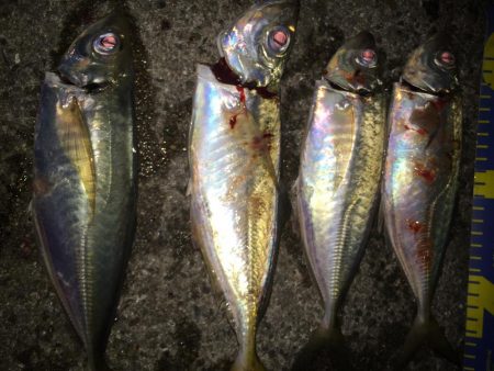 リベンジアジング