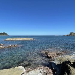 まぁまぁやな（笑）