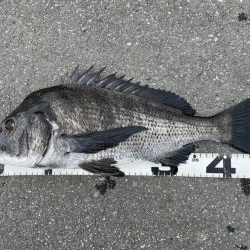 イチノ兄弟、釣果！