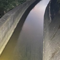 久しぶりのナマズ釣り