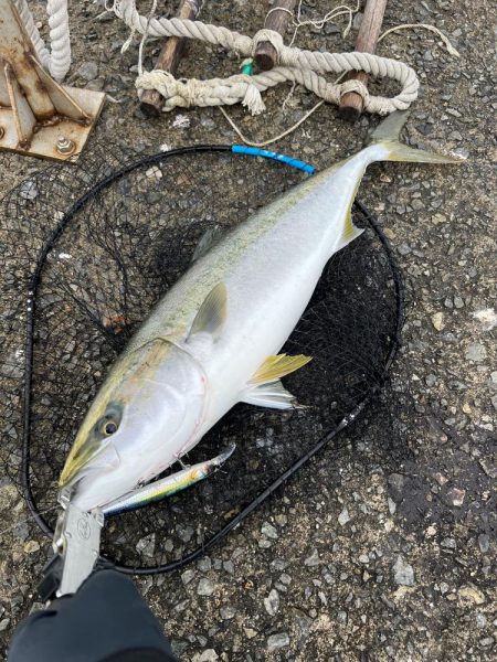 爆風湾岸ミノー