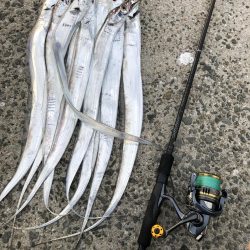 シブイ　タチウオさん