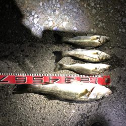 連続ヒットのシーバス60