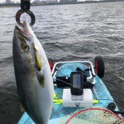 幕張supフィッシング