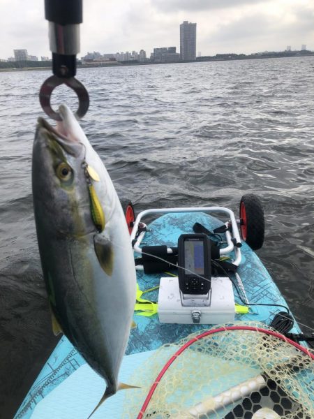 幕張supフィッシング