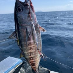 今回もジギングでアマダイ釣り！