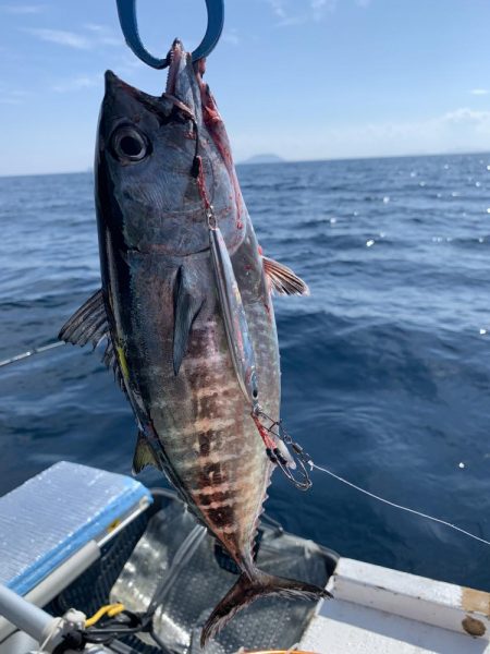 今回もジギングでアマダイ釣り！