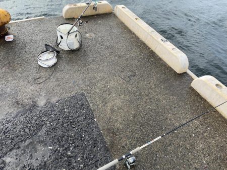 ファミリーフィッシング