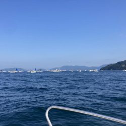 今年初の太刀魚