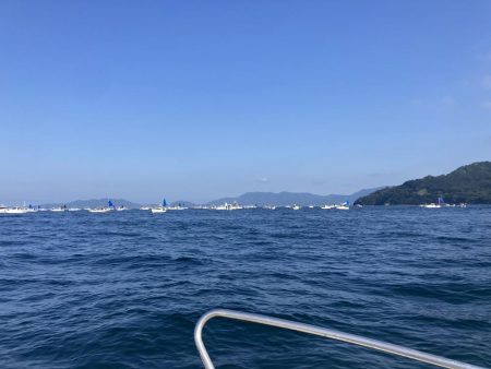 今年初の太刀魚