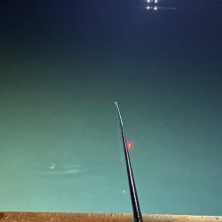 今年初のヒイカ釣り！！