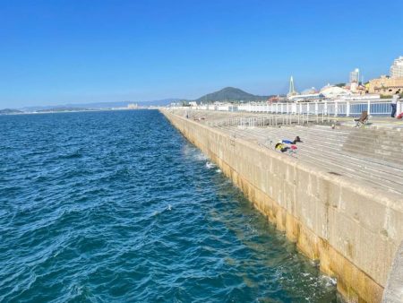 かわいい太刀魚