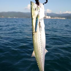 ゴムボート釣行