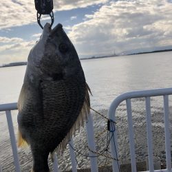 青物との縁は遠い…