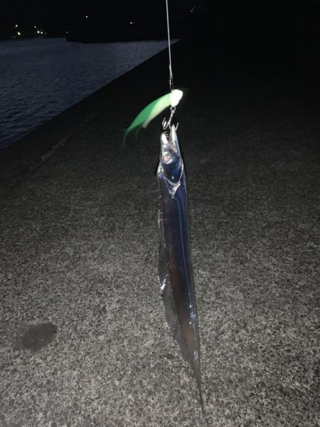 まさかのコイツが釣れた