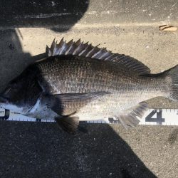 イチノ兄弟、釣果！