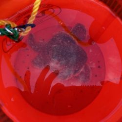 サビキ&ちょい投げ釣り