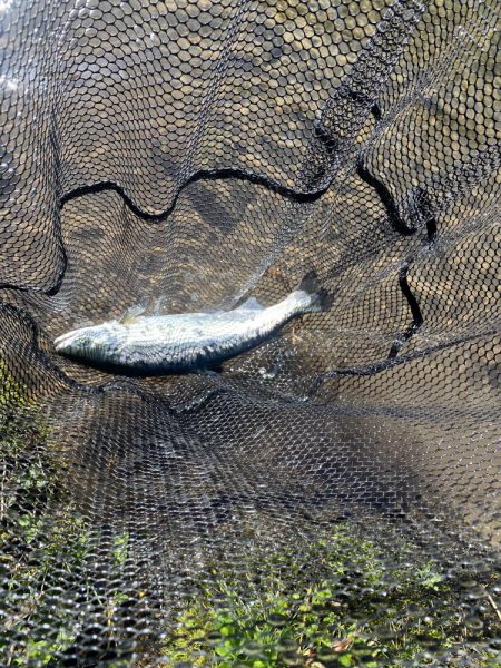 黒保根渓流フィシング22周年イベント