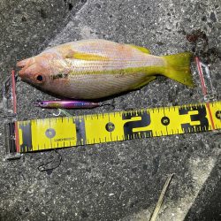 山陰のポテンシャル！