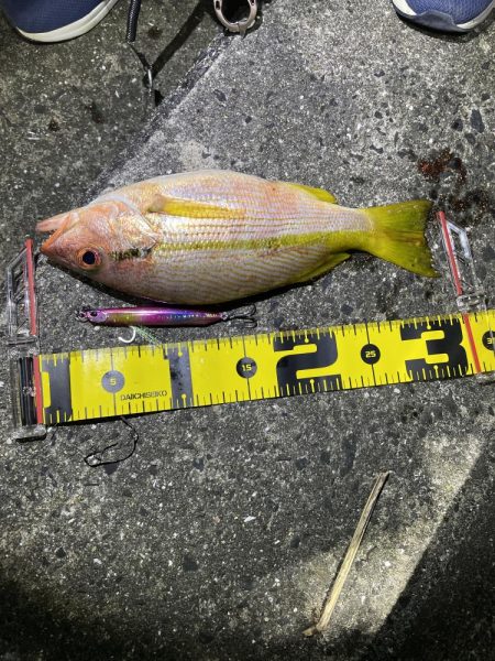 山陰のポテンシャル！