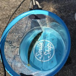 ファミリーフィッシング