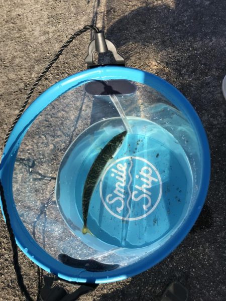 ファミリーフィッシング