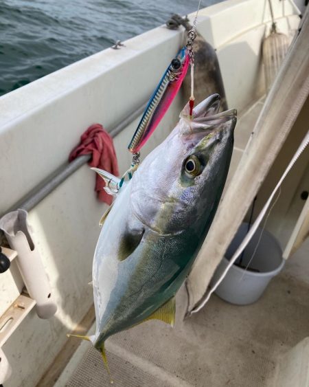 明石沖にてライトジギング