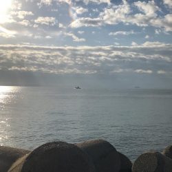 モーニング後のラッシュ