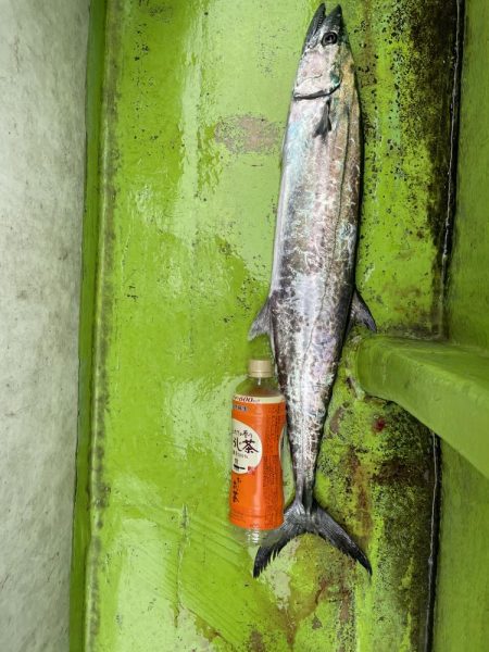 渋くなってきた、、、