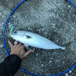 長潮まずめパターンはアツイ