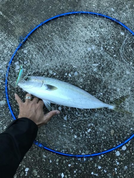 長潮まずめパターンはアツイ