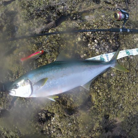 A.P.Pフィッシングガイドサービス　～ロ…