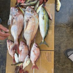 下津井沖の釣果