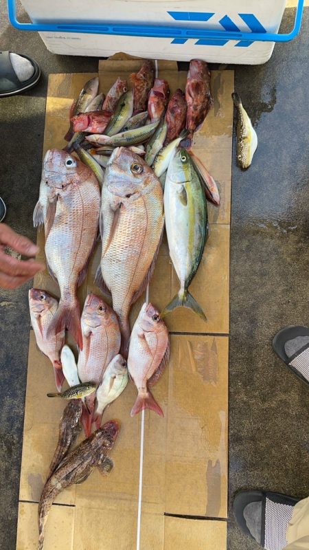 下津井沖の釣果